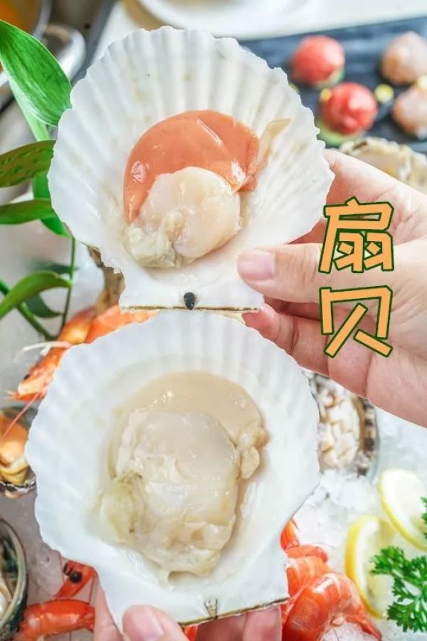 免单!9.9元抵100元!北京“网黄”一口入魂!
