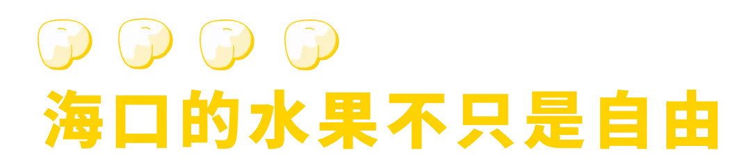 划重点!海南最好吃的地方是海口!
