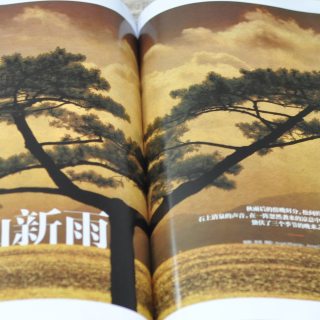 10元6期的高端杂志,免费送的杂志不仅提升还很香