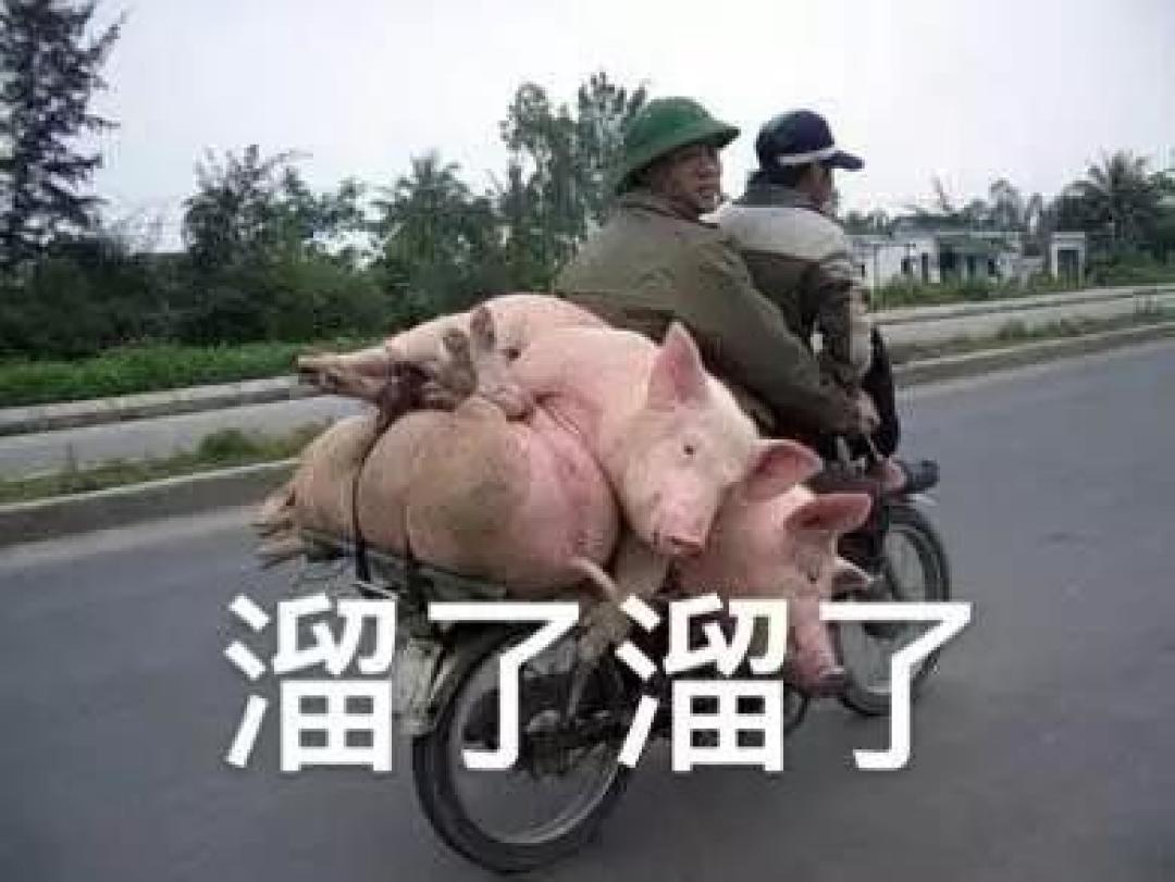 完美KO空气净化器的新风系统,该怎么选?