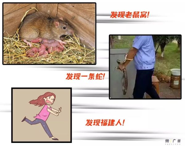 “对不起,我不和广东人一起吃饭,酒都不会喝”
