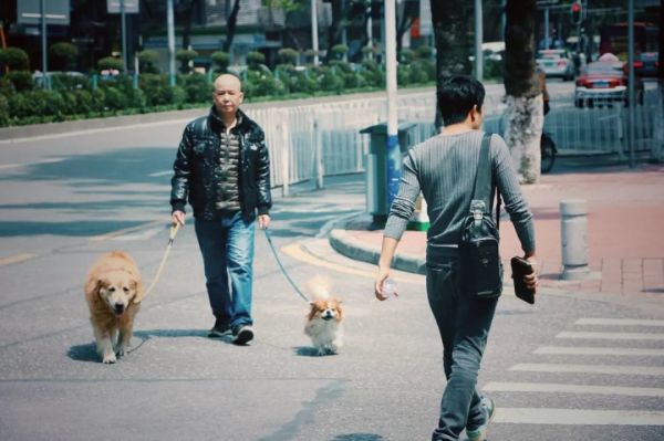 780201537555772763.jpg 扫街多年,他们看见了一个不一样的广州