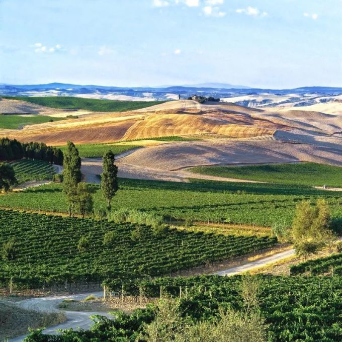 意大利传奇Brunello di Montalcino,喝之前你最好了解这些
