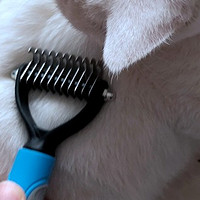 铲屎官的自我修养 篇一：给猫主买的刮毛……哦不，痒痒挠-华元宠具（hoopet）宠物 开结梳