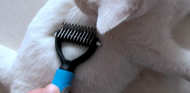 给猫主买的刮毛……哦不，痒痒挠-华元宠具（hoopet）宠物 开结梳