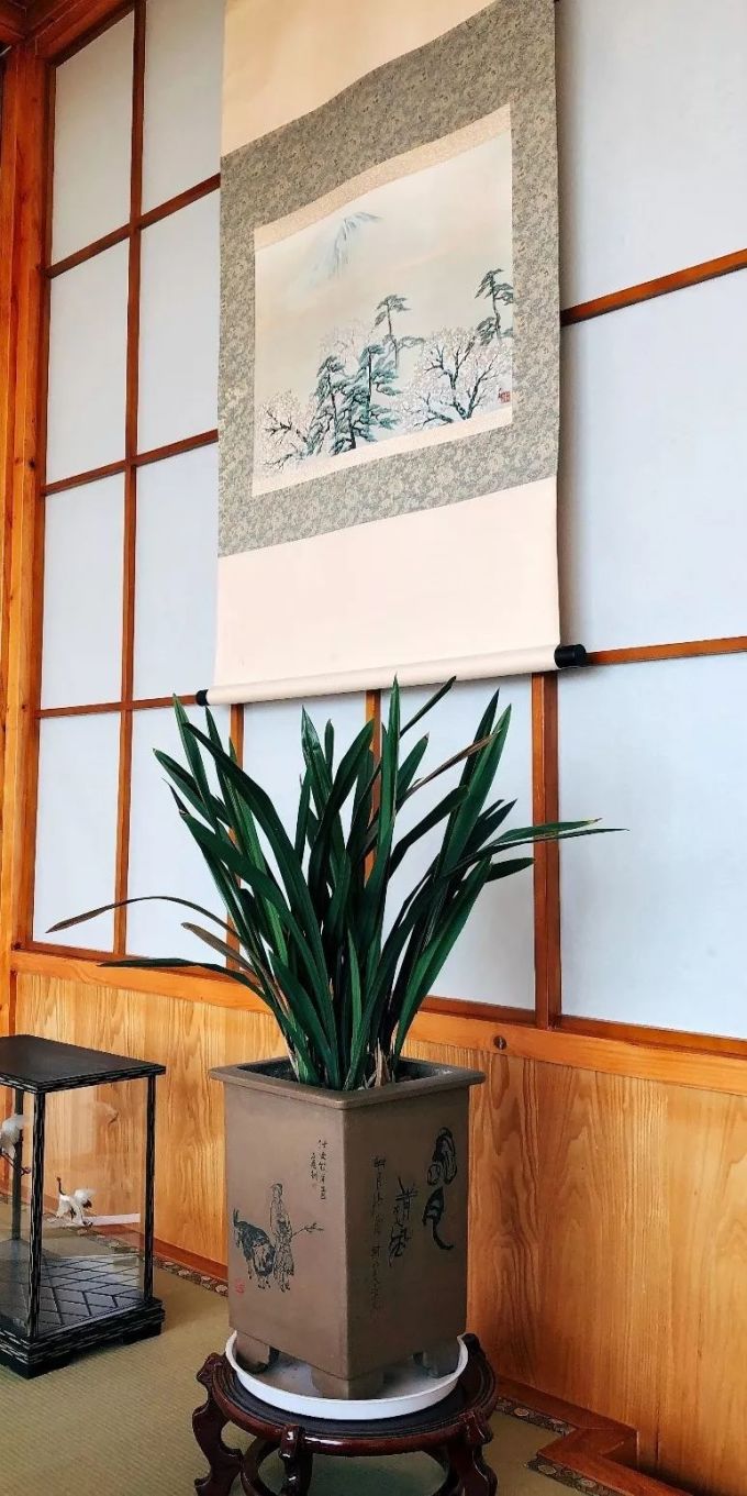 微信图片_20191112172313.jpg 这几家店去一次少一次,再不去,就没有了...
