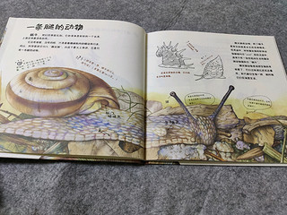 绘本《看！蜗牛！》