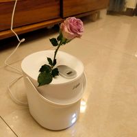 啊，来个便宜加湿器玩玩