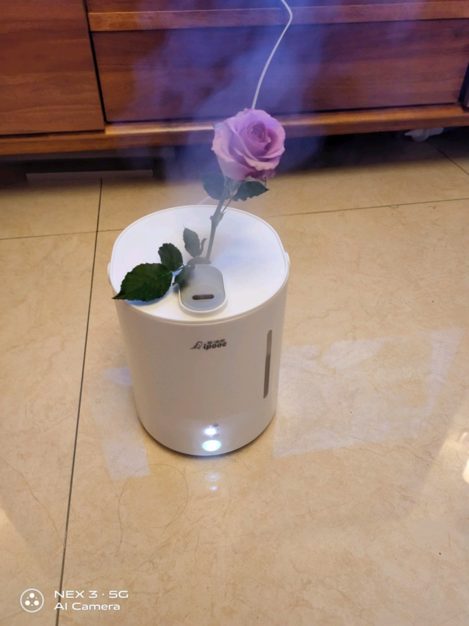 爱浦家加湿器