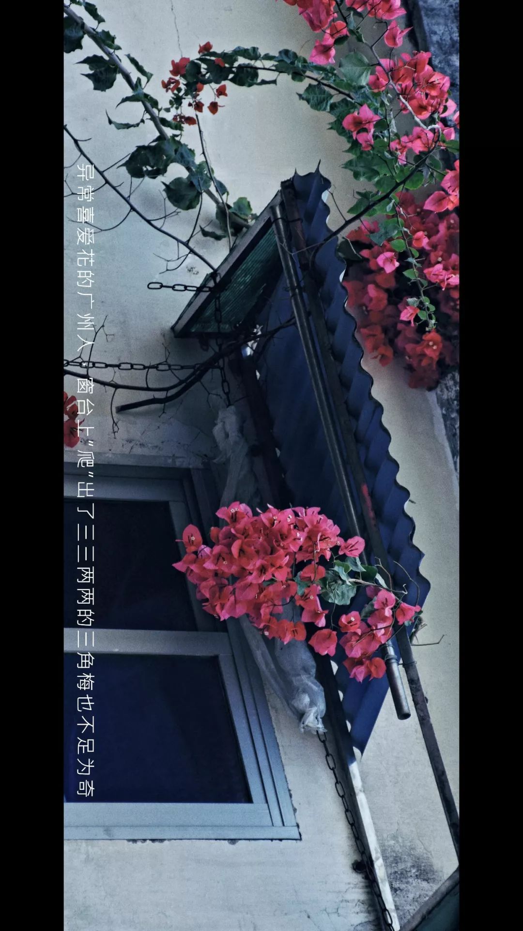 我们把广州街头的日与夜拍成了一部微电影