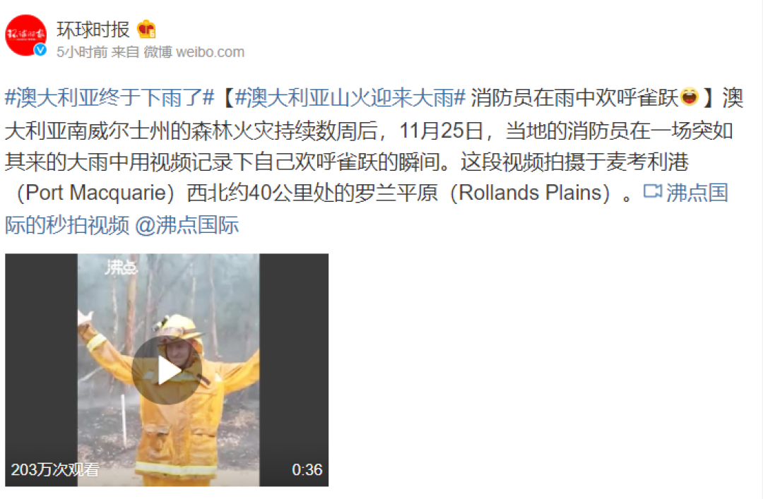澳大利亚终于下雨了！此前火灾肆虐数周，上千只考拉死亡