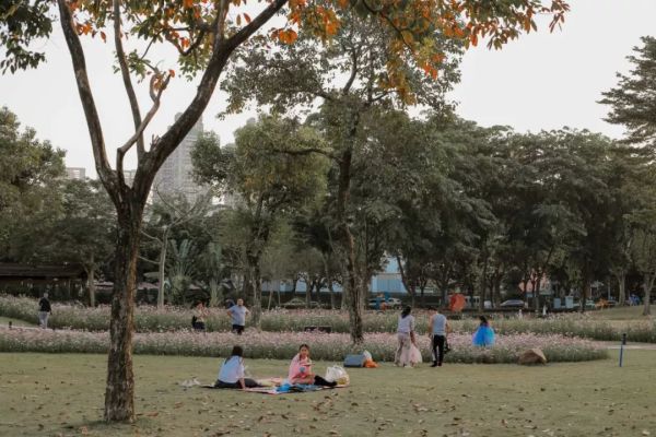 这份为你准备的「野餐攻略」,周末就能出发