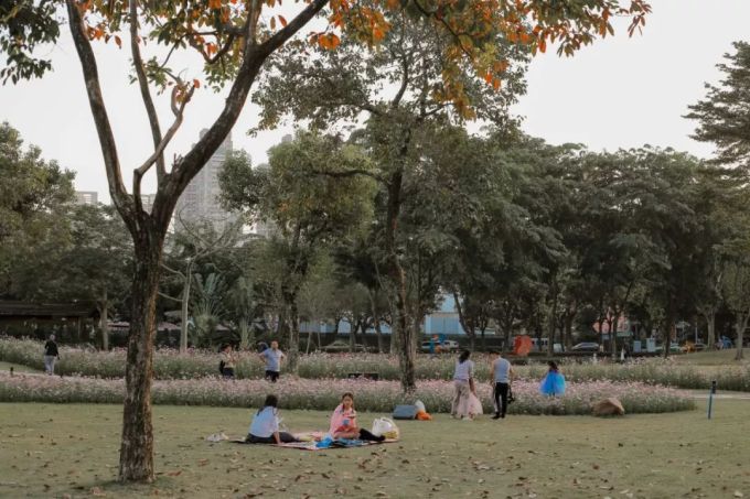 这份为你准备的「野餐攻略」,周末就能出发