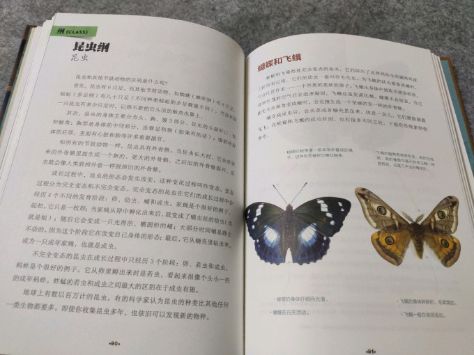 中信出版社绘本/图画书
