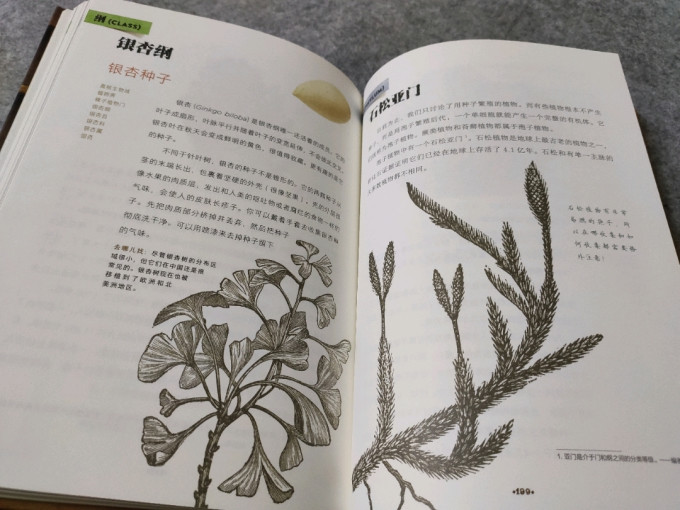 中信出版社绘本/图画书