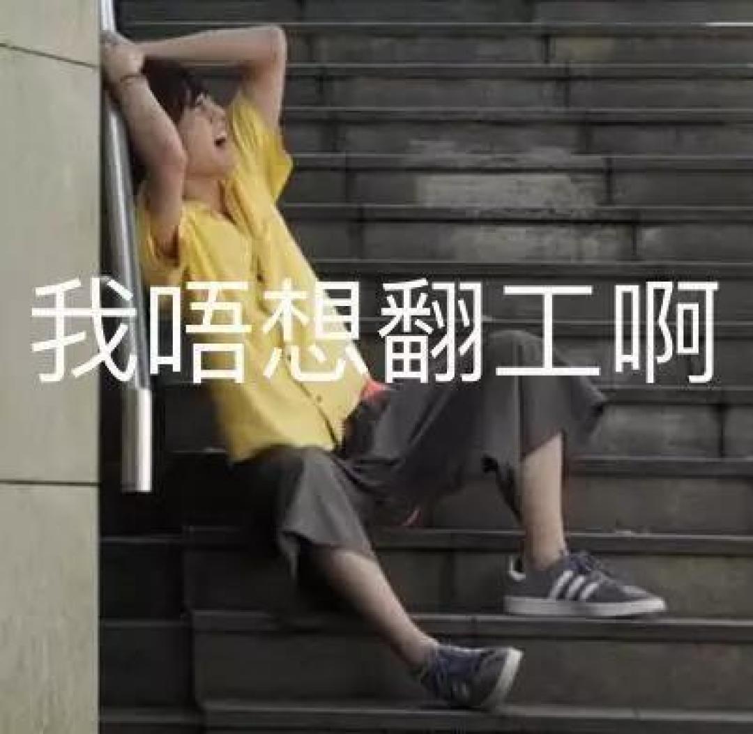 扒扒三个傻傻分不清的清洁工具:扫拖机器人,擦地机,蒸汽拖把