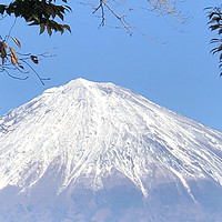 日本交通券推荐之三——富士山静冈mini周游券