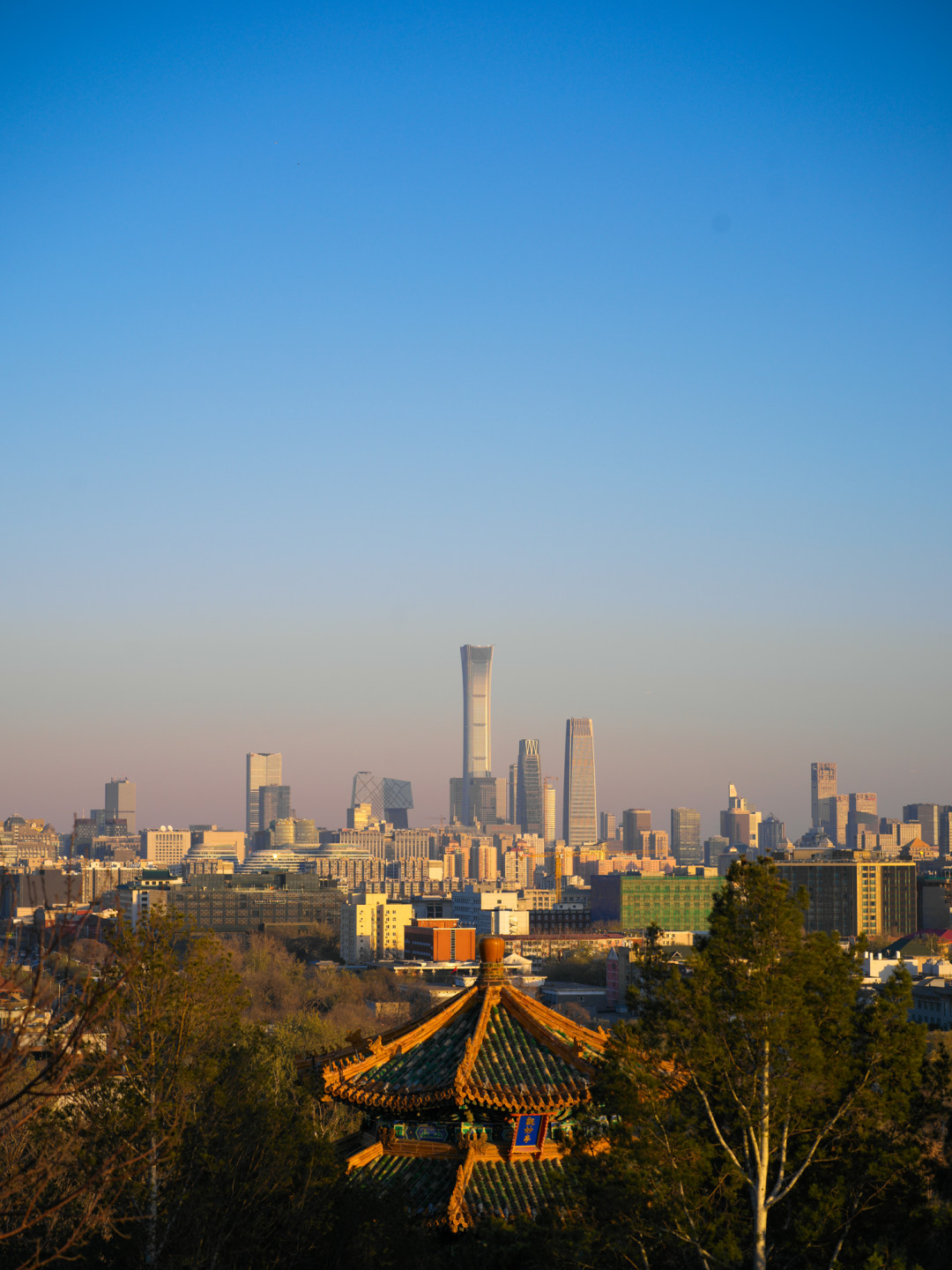 口袋里的中画幅,好用的高画质:哈苏x1d ii 50c微单相机实拍体验