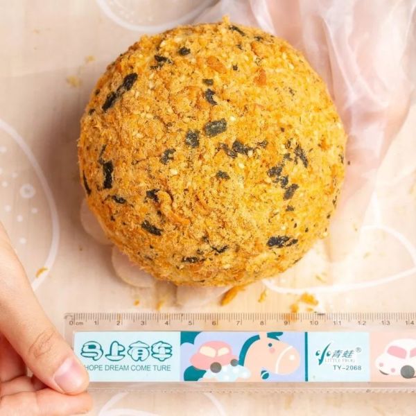 2019年肉松小贝等级考试答卷(广州)