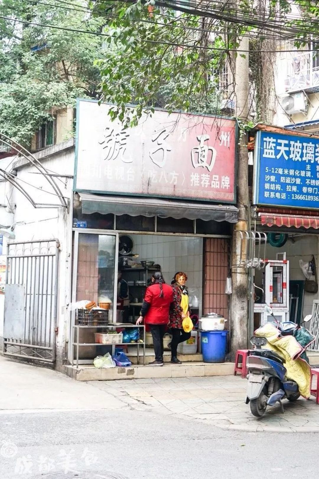 成都银杏最美的时候到了，真的不用再挤电子科大了！