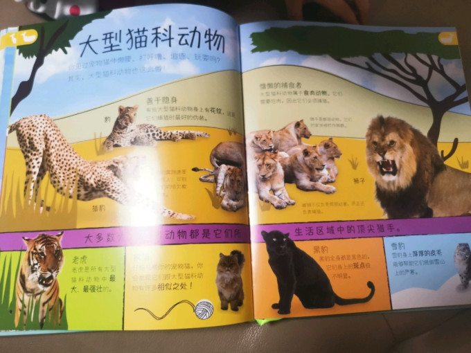 少儿读物