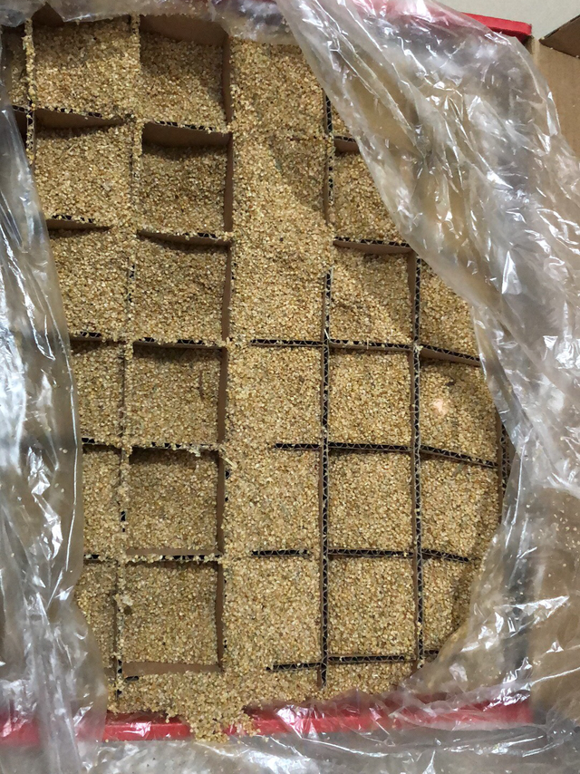 晋龙鸡蛋