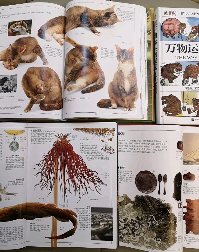 陪伴我的书系列028_DK青少年大百科