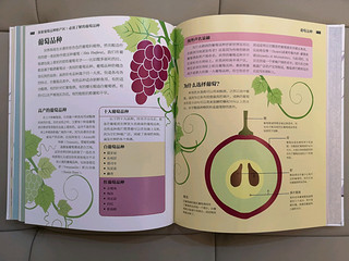陪伴我的书系列030_DK葡萄酒品鉴课堂