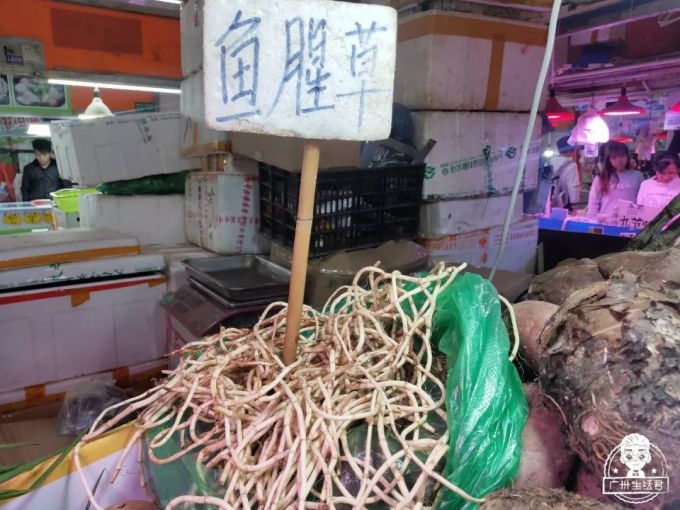 逛完这个地方,终于知道为什么东山口房价7万+…