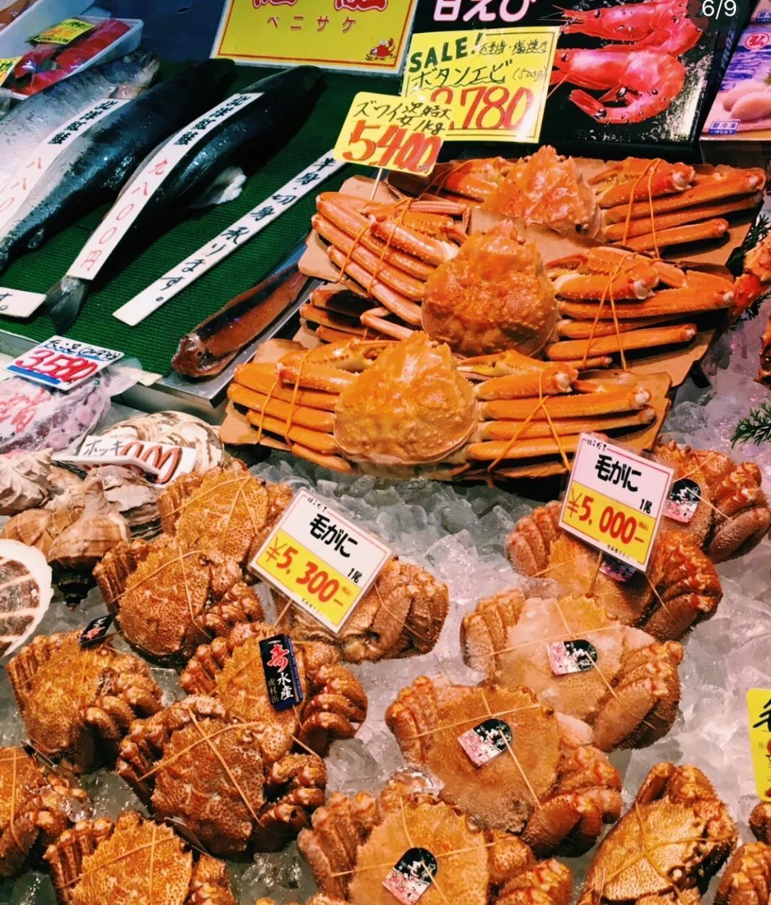 会玩 | 如果说宵夜中藏着每座城市的江湖味儿,菜市场就承载着它们的烟火气