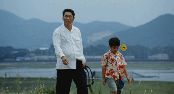 北野武の蓝,为什么让人那么爱!