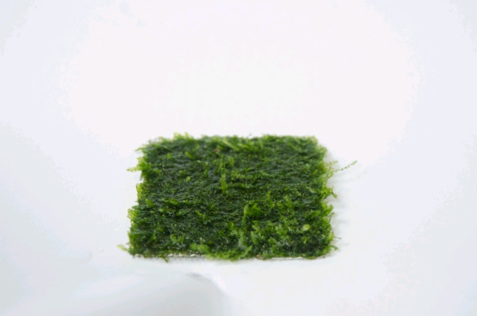 鱼缸