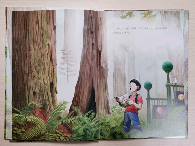 长江少年儿童出版社儿童绘画