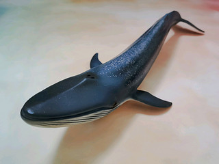 思乐蓝鲸模型 世界上最大的哺乳动物