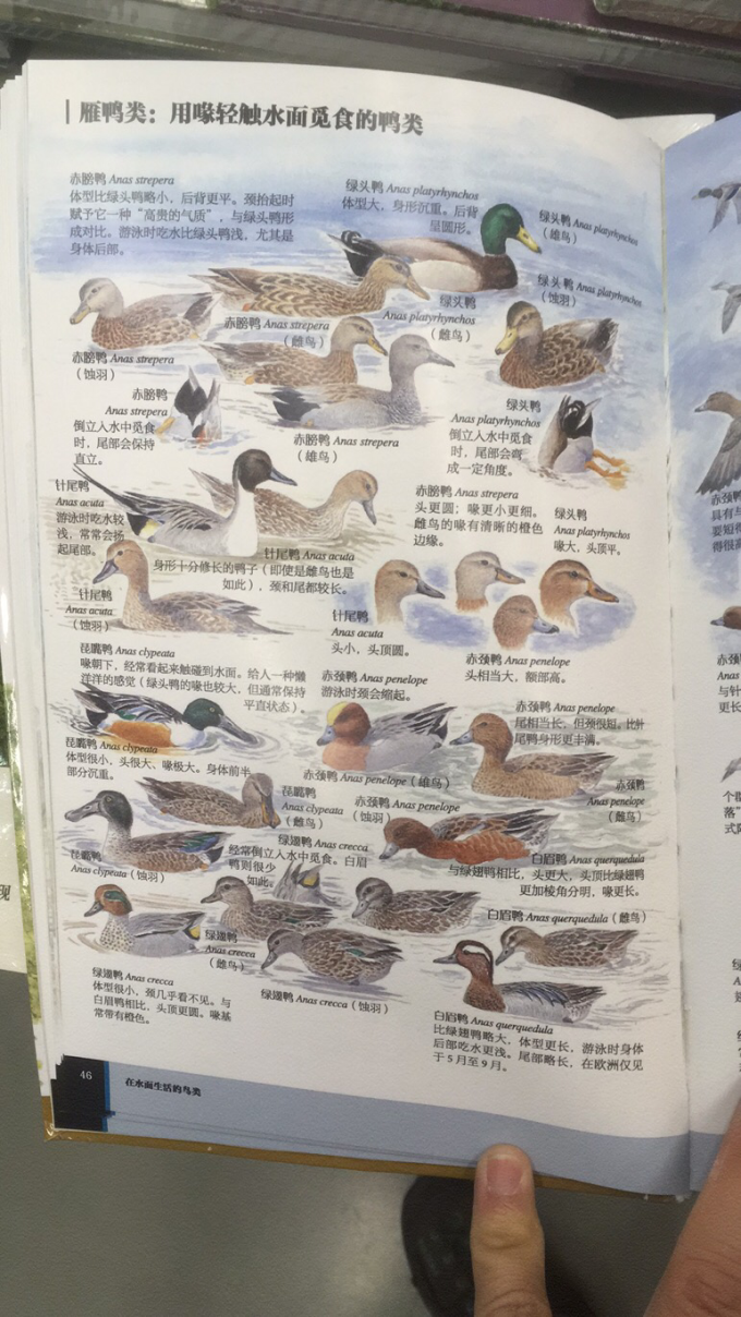 湖南科学技术出版社生活教育