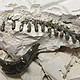 图书馆猿の格奇 儿童恐龙化石挖掘玩具 简单晒