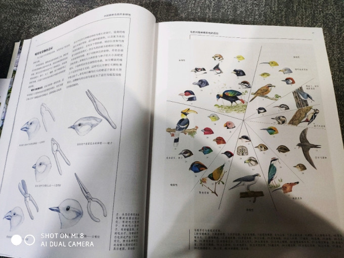 湖南科学技术出版社工具书
