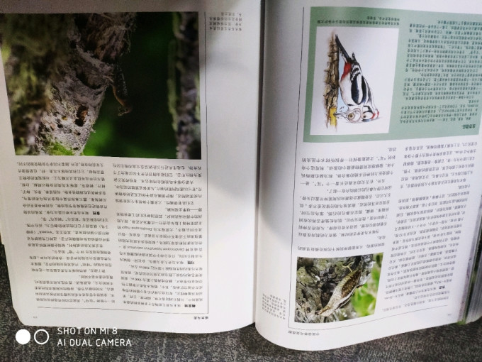 湖南科学技术出版社工具书