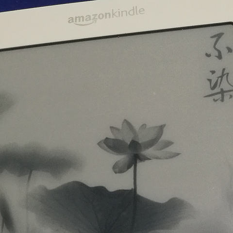 图吧垃圾佬的KINDLE2——纯正电子墨水屏体验