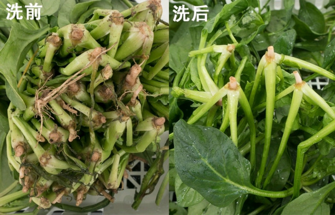 方太水槽式洗碗机