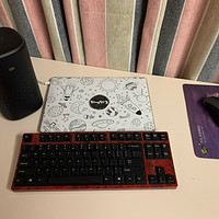 数码外设 篇一：机械键盘使用评价：Filco 圣手二代、Cherry G80-3000