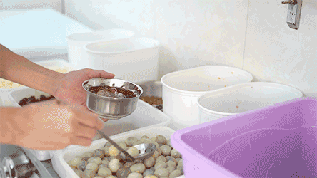 查收！深圳2019【最后一份糖水攻略】