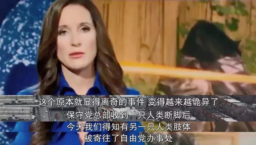 变态男妓虐猫杀人,中国留学生被肢解案终有最新进展