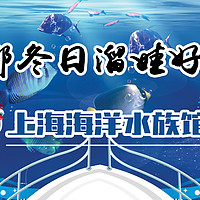 冬日溜娃好去处——上海海洋水族馆（大图较多，非wifi模式下慎入）