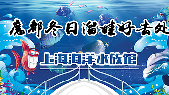 『舒适出行Style』 篇十一：冬日溜娃好去处——上海海洋水族馆（大图较多，非wifi模式下慎入）