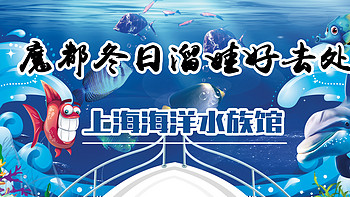 冬日溜娃好去处——上海海洋水族馆（大图较多，非wifi模式下慎入） 