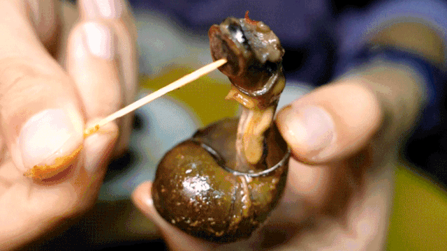 海珠区藏了20年的田螺鸡煲，凌晨1点还有人吃！