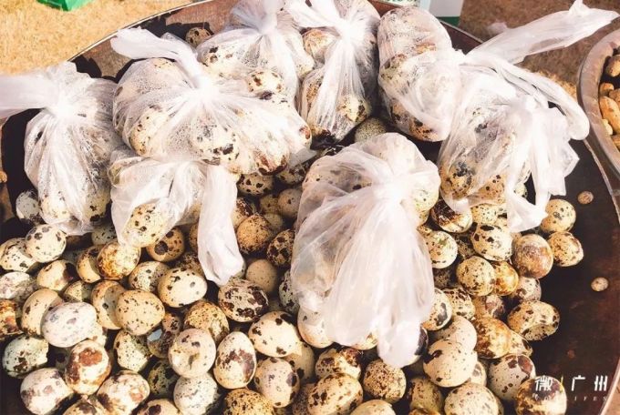 刚刚,广州“下雪”了!800000㎡一片雪白…