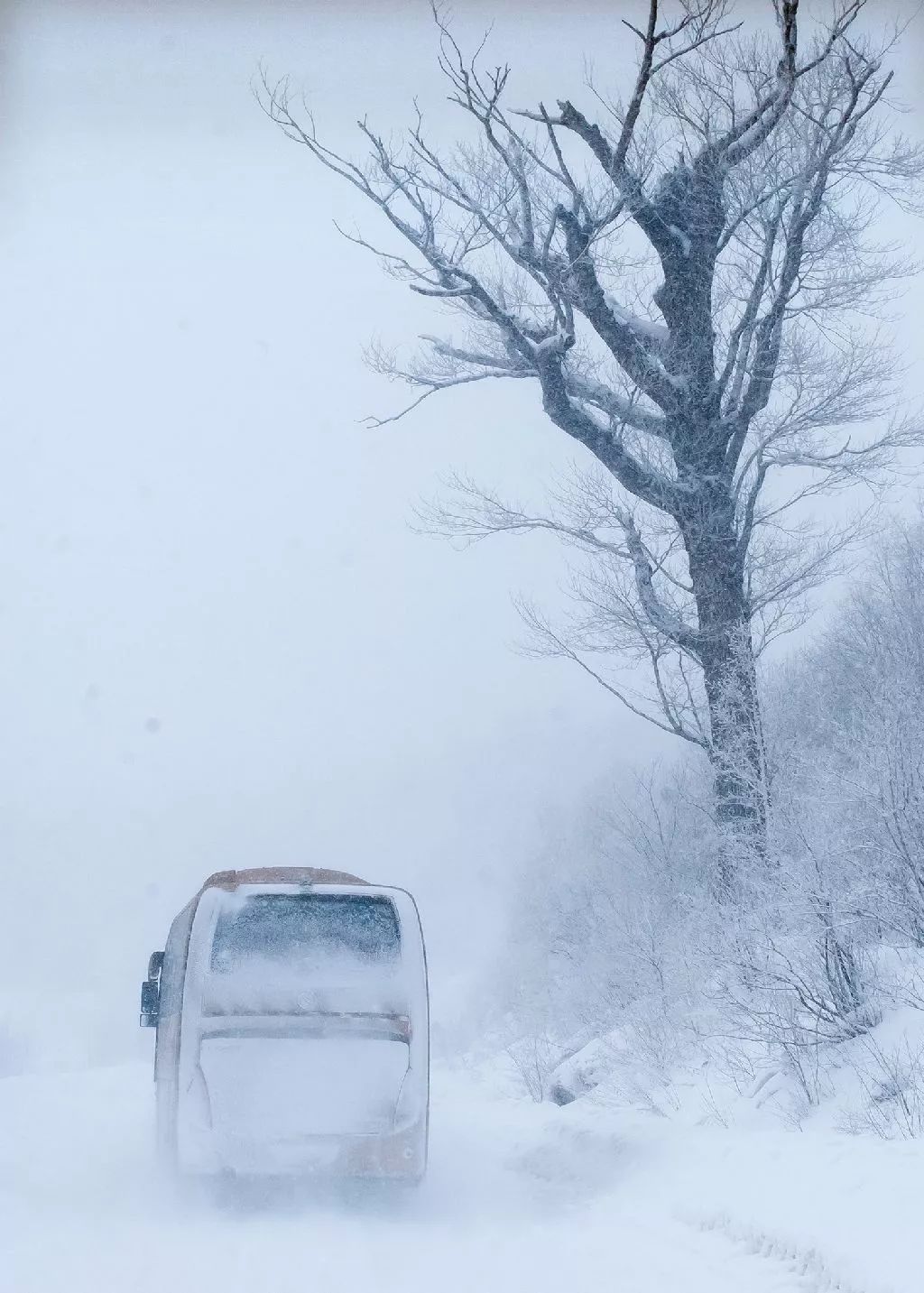 图槽 | 雪天怎么拍都美！