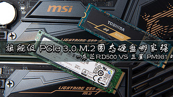 旗舰级 PCIe 3.0 M.2固态硬盘哪家强：东芝RD500 VS 三星 PM981 对比评测